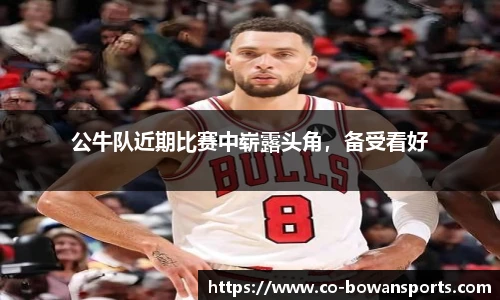 公牛队近期比赛中崭露头角,备受看好