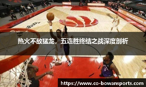 热火不敌猛龙,五连胜终结之战深度剖析